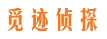 顺河市婚外情调查